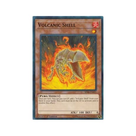 Volcanic Shell - SDSB-EN021