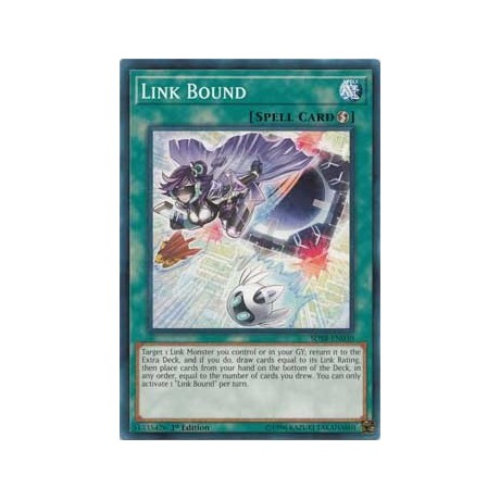 Link Bound - SDSB-EN030