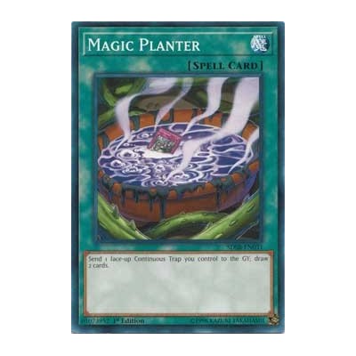 Magic Planter - SDSB-EN031