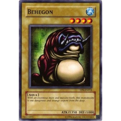 Behegon - TP8-EN014