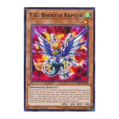 T.G. Booster Raptor - SAST-EN010