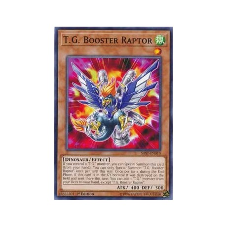 T.G. Booster Raptor - SAST-EN010