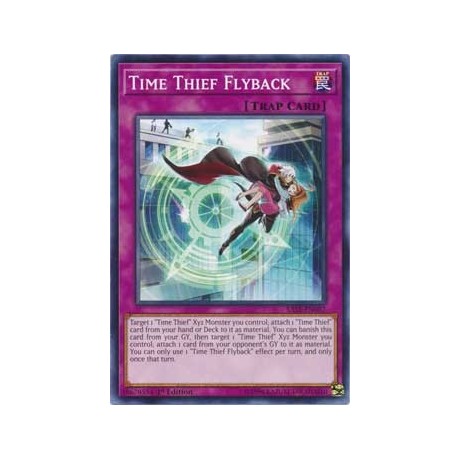 Time Thief Flyback - SAST-EN087