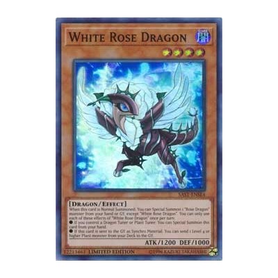 White Rose Dragon - SAST-ENSE4