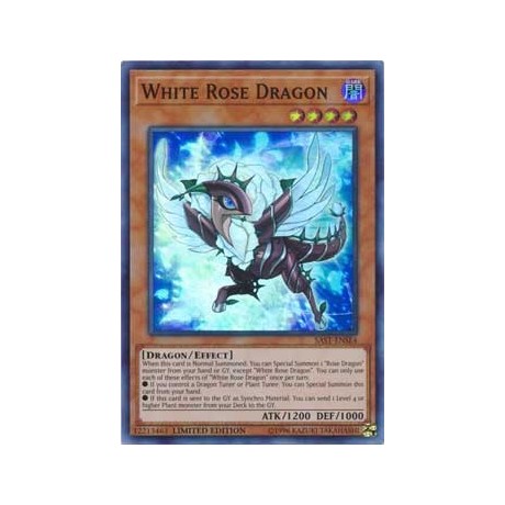 White Rose Dragon - SAST-ENSE4