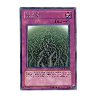 Wall of Thorns - CRMS-JP079