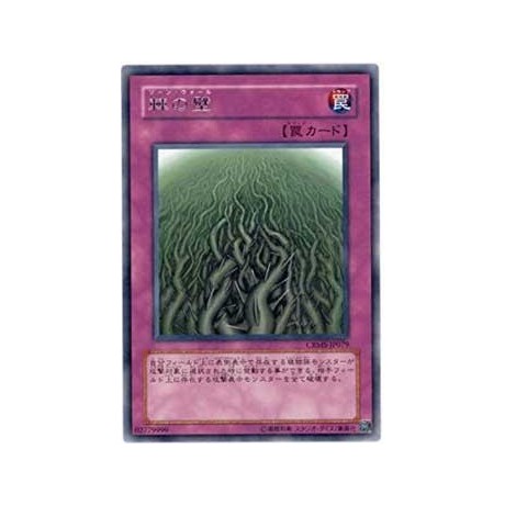 Wall of Thorns - CRMS-JP079