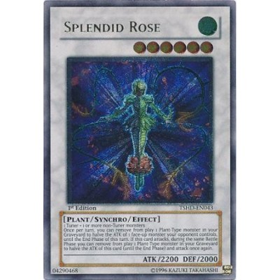 Splendid Rose - TSHD-EN043