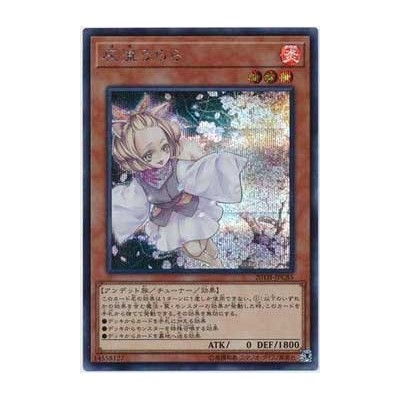 Ash Blossom & Joyous Spring - 20TH-JPC85 - Secret Rare