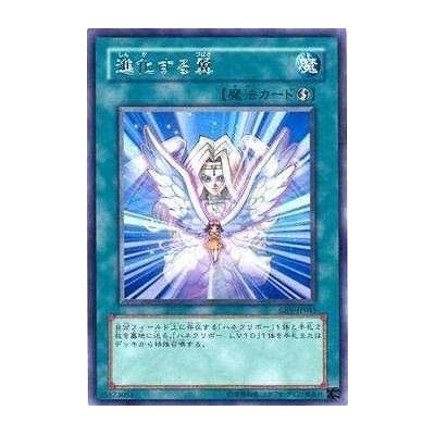 Transcendent Wings - CRV-JP045