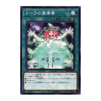 Spellbook of Wisdom - SR08-JP029