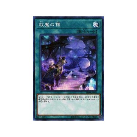 Dwimmered Path - SR08-JP041