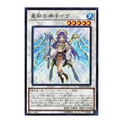 Ib the World Chalice Justiciar - DANE-JP035