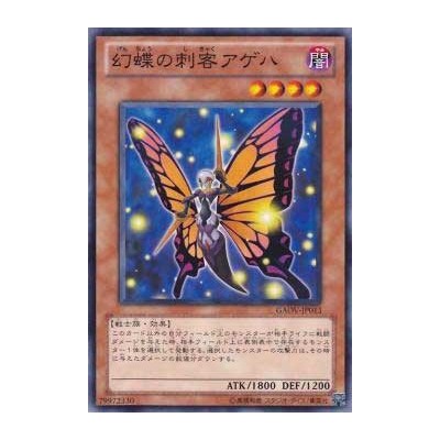 Swallowtail Butterspy - GAOV-JP013