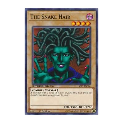 The Snake Hair - SBLS-EN026