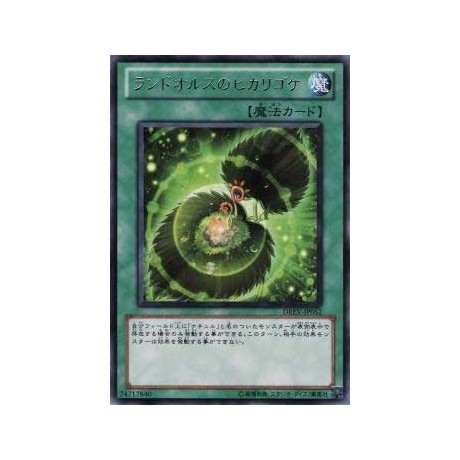 Landoise's Luminous Moss - DREV-JP052