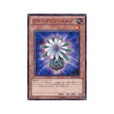 Glow-Up Bulb - STBL-JP018