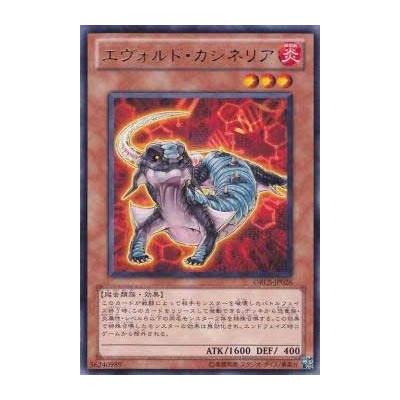 Evoltile Casinerio - ORCS-JP026