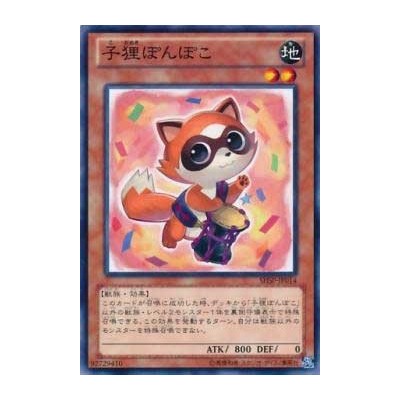 Baby Raccoon Ponpoko - SHSP-JP014