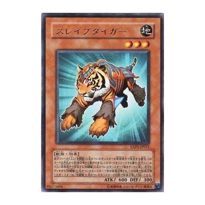 Test Tiger - EXP1-JP015