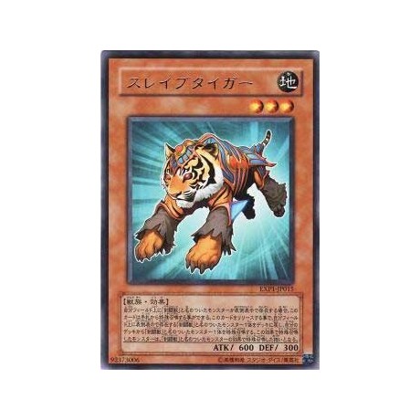 Test Tiger - EXP1-JP015