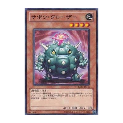 Cactus Bouncer - EXP3-JP035