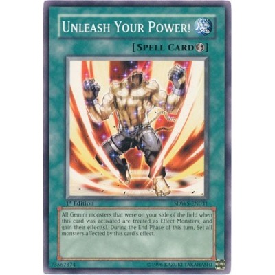 Unleash Your Power! - SDWS-EN031