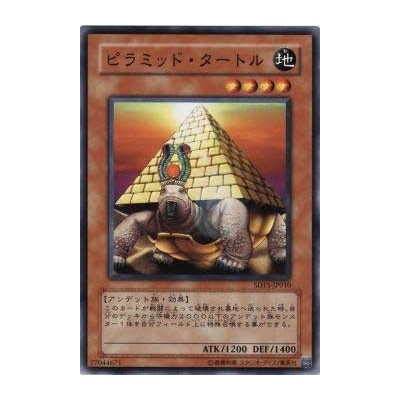 Pyramid Turtle - SD15-JP010