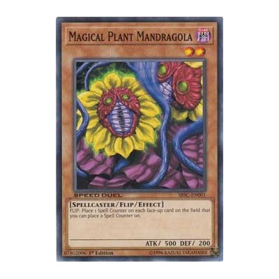 Magical Plant Mandragola - SBSC-EN001