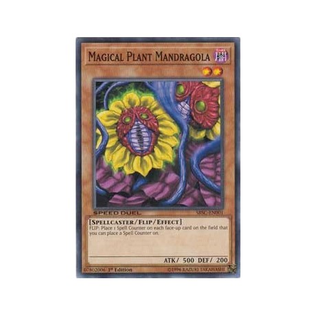 Magical Plant Mandragola - SBSC-EN001