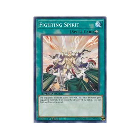 Fighting Spirit - SBSC-EN041