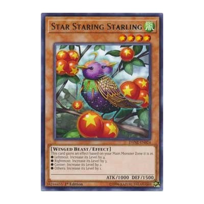 Star Staring Starling - DANE-EN024