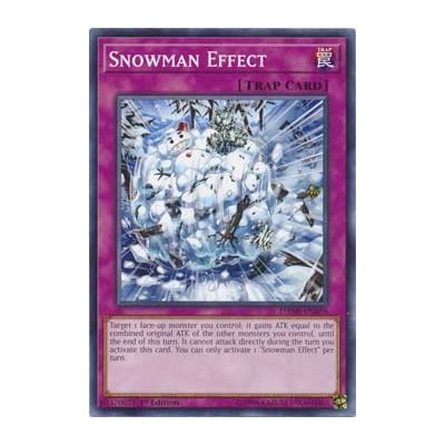 Snowman Effect - DANE-EN079