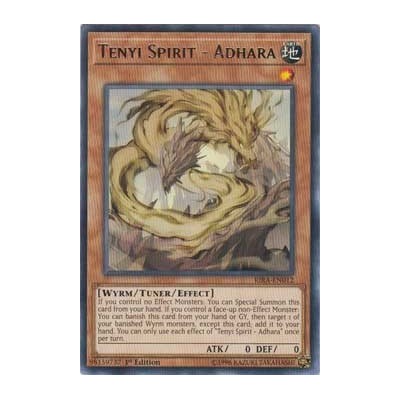 Tenyi Spirit - Adhara - RIRA-EN012