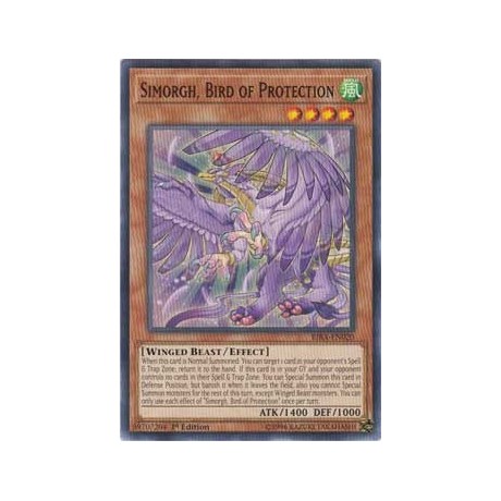 Simorgh, Bird of Protection - RIRA-EN020