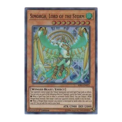 Simorgh, Lord of the Storm - RIRA-EN021