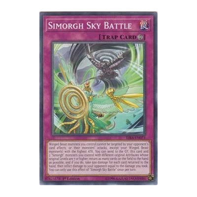 Simorgh Sky Battle - RIRA-EN073