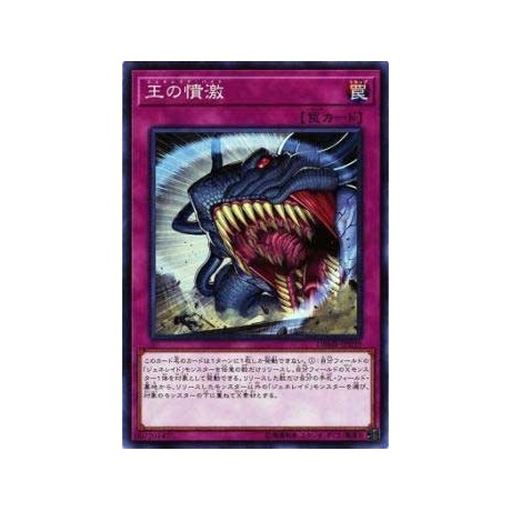 Generaid Bite - DBMF-JP039