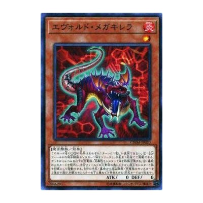 Evoltile Megachirella - CHIM-JP020