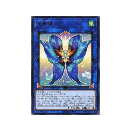 Seraphim Papillion - CHIM-JP050