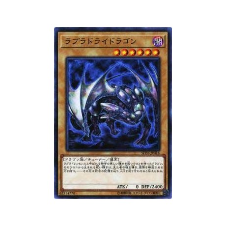 Labradorite Dragon - SD36-JP016