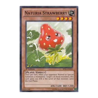 Naturia Strawberry - DT04-EN031