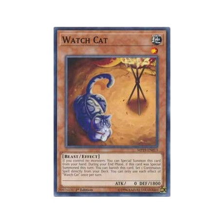 Watch Cat