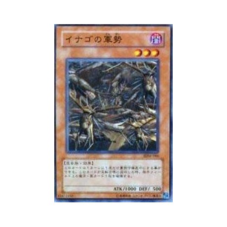 Swarm of Locusts - SDM-046