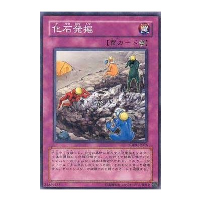 Fossil Excavation - SD09-JP036