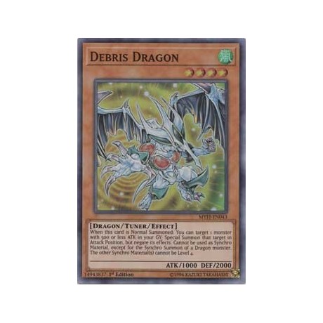 Debris Dragon