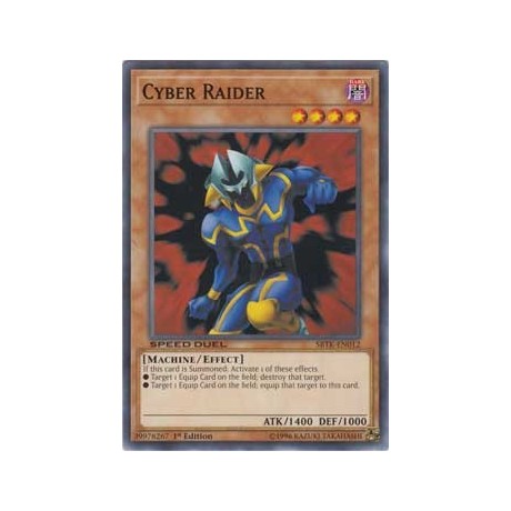 Cyber Raider