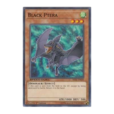 Black Ptera