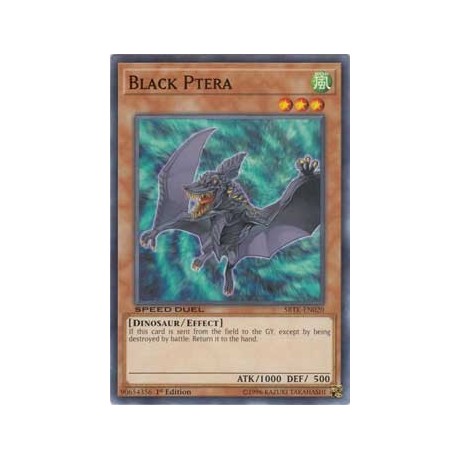 Black Ptera