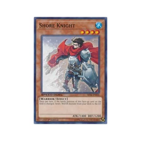 Shore Knight